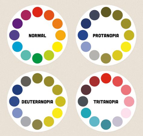 A diagram showing colour wheels as they might be perceived by people with different types of colour blindness. Color Vision Deficiency, Colour Wheels, Colour Blind, Body Science, Eye Facts, Poster Classroom, Different Types Of Colours, Science Fact, Color Vision