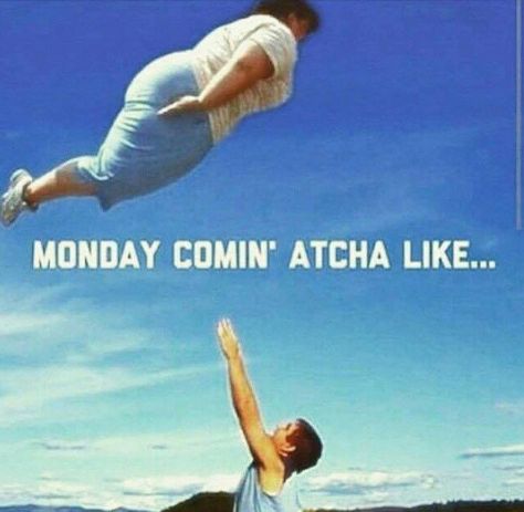 Monday coming atcha like I Hate Mondays, Monday Memes, Monday Humor, Funny Duck, Monday Quotes, Work Humor, Bones Funny, Funny Photos, I Laughed