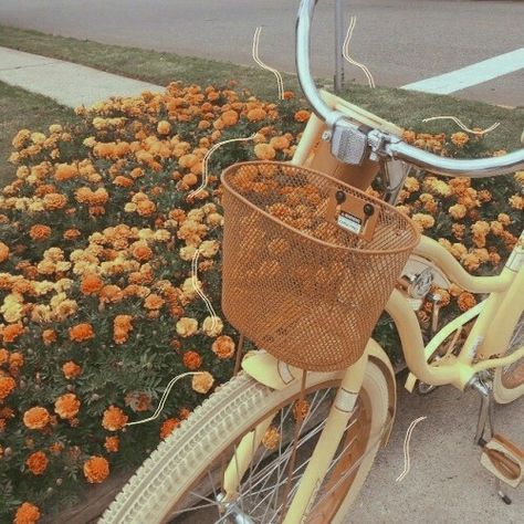 Aesthetic Bike, Yellow Aesthetic Pastel, Hufflepuff Aesthetic, Bike Aesthetic, Minako Aino, Vw Vintage, Yellow Springs, Enjoy The Little Things, Orange Aesthetic