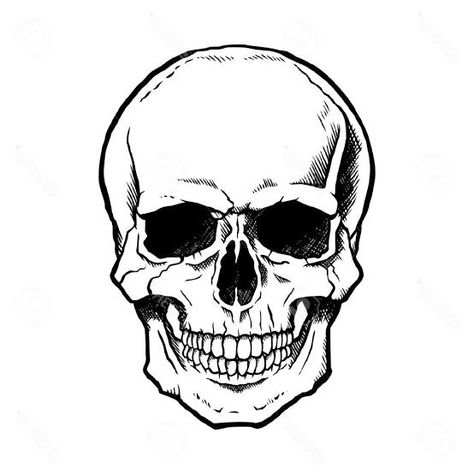 Simple Skull Drawing, Easy Skull Drawings, Arte Viking, Simple Skull, Skull Stencil, Scary Drawings, Skulls Drawing, Skull Illustration, Skull Drawing