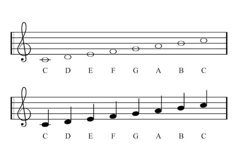 Vector c major scale, full notes. key of... | Premium Vector #Freepik #vector #clef #treble-clef #music-notes #music-key C Major Scale Piano, Music Keys, Treble Clef Notes, C Major Scale, Notes Key, Music Key, Key Signatures, Major Scale, Western Music