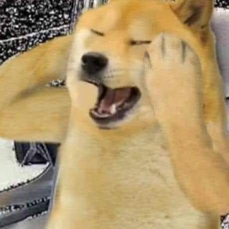 Doge Dog, Doge Meme, Japanese Dogs, Hyogo, Jokes Pics, Motivational Art, Funny Profile Pictures, Cartoon Jokes, Wholesome Memes