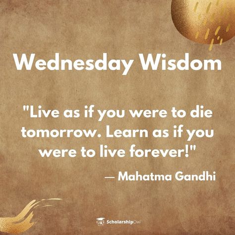 Wisdom Wednesday Quotes, Wednesday Wisdom Quotes, Wednesday Greetings, Wisdom Wednesday, Funny Motivational Quotes, Happy Wednesday Quotes, Wednesday Quotes, Weekday Quotes, Friday Quotes