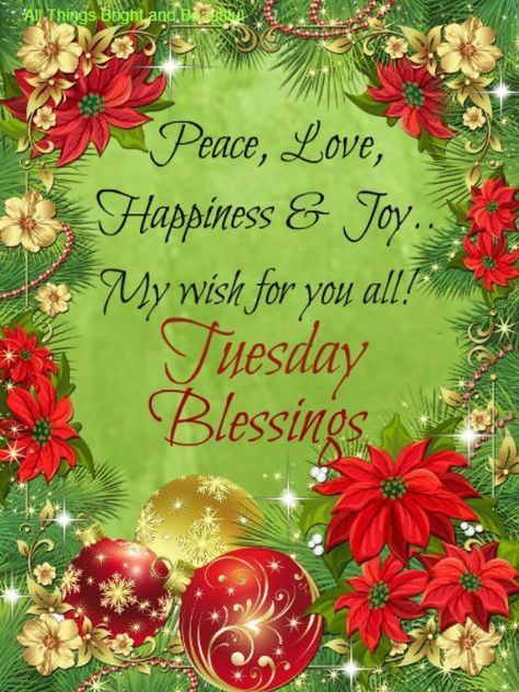 December Tuesday, Tuesday Christmas, Merry Xmas Greetings, Flowers Ornaments, Good Morning Christmas, Tuesday Blessings, Xmas Quotes, Daily Greetings, Tuesday Quotes