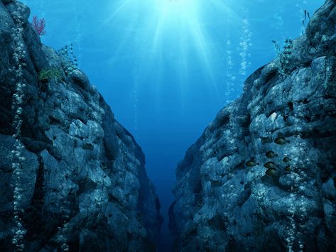 The Mariana Trench is 7 Miles Deep—What's Down There? | Everyday Einstein Mariana Trench Ocean, Challenger Deep, Ocean Trench, Mariana Trench, Monte Everest, Sea Point, Under The Ocean, Marianas Trench, Oceanography