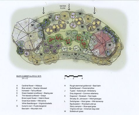 Sample rain garden designs Shade Garden Ideas, Rain Garden Design, Full Sun Garden, Shade Landscaping, Shade Garden Design, Shade Garden Plants, Backyard Garden Layout, French Country Garden, Sun Garden