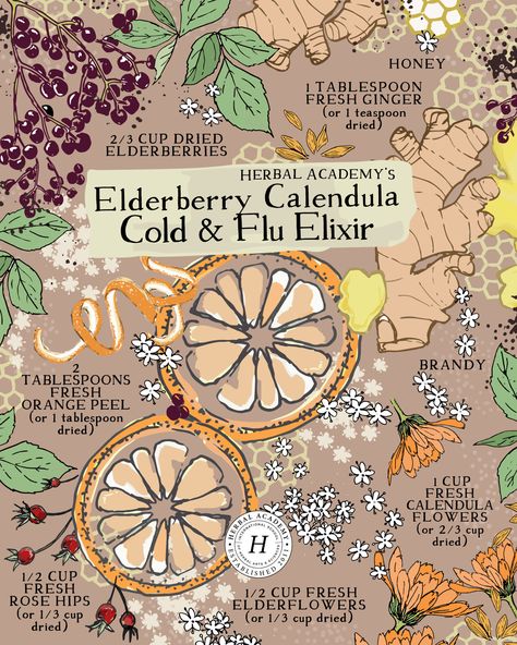 Cold Herbal Remedies, Herbal Cough Remedies, Witchcraft Cold Remedies, Elderberry Elixir Recipe, Apothecary Recipes, Herbs To Help With Cold, Elderberry Elixir, Herbal Tea For Colds, Herbs For Colds Immune System