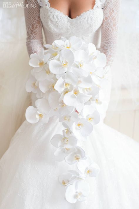 White Bride Bouquets Elegant, Royal Bridal Bouquet, Phalaenopsis Orchid Bouquet Wedding, Orchid Wedding Bouquet White, White Bouquet With Orchids, Statement Bridal Bouquet, Orchid Flower Bouquet Wedding, Orchid Bridal Bouquets Unique, White Orchid Wedding Bouquet