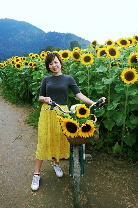 Sunflower Festival Photoshoot, Sunflower Field Props, Photo Ideas In Sunflower Fields, Posing In Sunflower Field, Sunflower Picking, Sunflower Festival, Sunflower Ideas, Woman In Sunflower Field, Basement Bar Designs