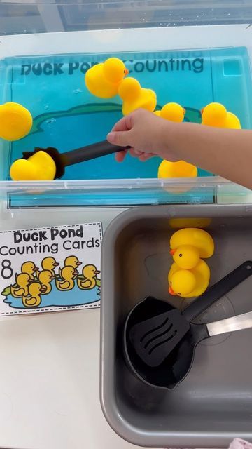 D Is For Duck Preschool, Goose Activities For Preschool, Duck Printables Free, 5 Little Ducks Activities For Toddlers, Duck On A Bike Activities Preschool, Duck Activities For Preschool, Five Little Ducks Activities, Duck Activities, Pond Preschool