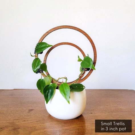 Circle Trellis, Indoor Plant Trellis, Plant Sticks, Clay Workshop, Climbing Plant Support, Indoor Trellis, Hydroponic Garden, Arch Trellis, Plant Trellis