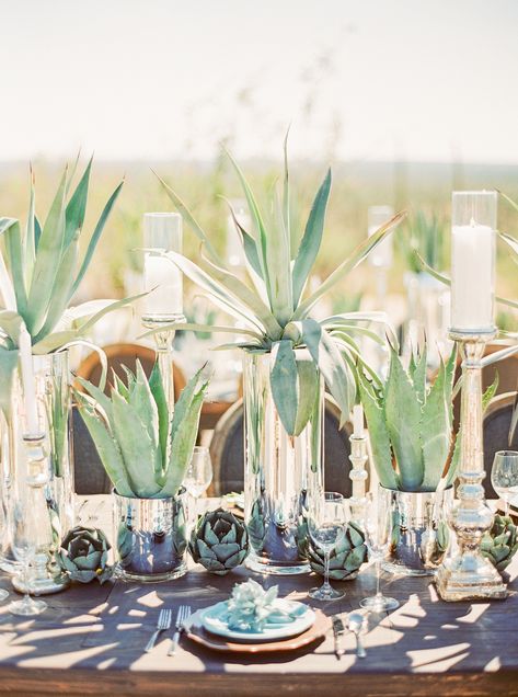 Our 20 Favorite Wedding Centerpieces for 2019 | A Practical Wedding Cactus Centerpiece, Summer Wedding Centerpieces, Creative Wedding Centerpieces, Cactus Wedding, Succulent Centerpieces, Boda Mexicana, Practical Wedding, Wedding Floral Centerpieces, Succulent Wedding