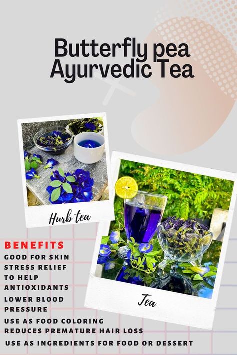 https://www.ebay.com/usr/sahansilva36011?_trksid=p2047675.m3561.l2559 Blue Pea Flower Benefits, Butterfly Pea Flower Benefits, Butterfly Pea Flower Tea Benefits, Blue Pea Tea, Blue Butterfly Pea Flower Tea, Blue Pea Flower, Good Eyesight, Flower Recipe, Ayurvedic Tea