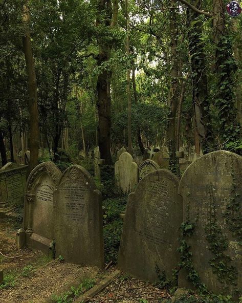 Lost Things, Pretty Graveyard, Aesthetic Graveyard, Creepy Graveyard, Graveyard Aesthetic, Poor Aesthetic, Abandoned Graveyard, Spooky Graveyard, Forest Graveyard