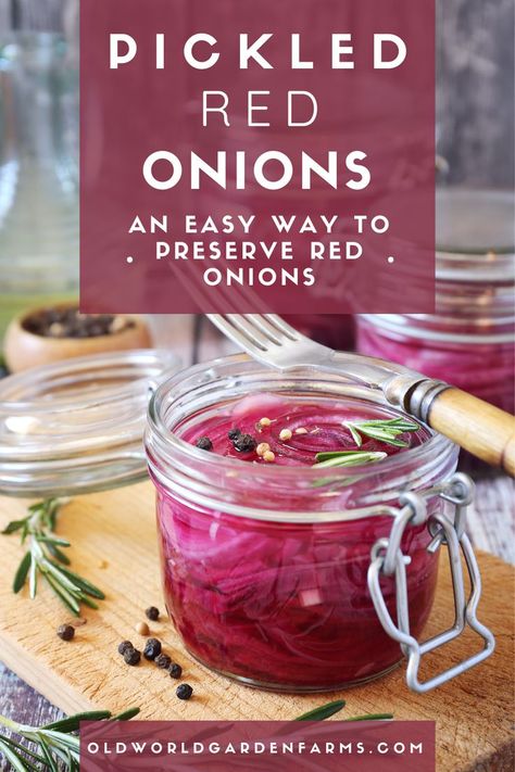 Red pickled onions in a glass jar ready to be served and enjoyed as a condiment. Pickled Red Onion Recipe, Pickle Onions Recipe, Green Chilli Pickle, Pickled Red Onion, Red Onion Recipes, Quick Pickled Red Onions, Brine Recipe, Tacos And Burritos, Pickled Red Onions