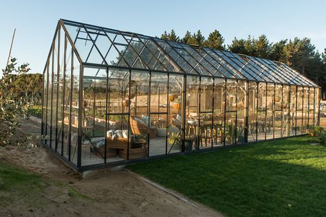 The Glasshouse Company Greenhouses and Glasshouses Greenhouse Attached To House, Contemporary Greenhouses, Glass Green House, Glass House Wedding, Glass Greenhouse, Conservatory Greenhouse, Shade House, Buy Land, Home Greenhouse