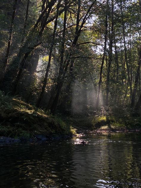 Forest Stream Aesthetic, Dark Oregon Aesthetic, Corvallis Oregon Aesthetic, Bridget Core, Janecore Aesthetic, Danielle Core, Forest With River, River In The Forest, Noah Kahan Stick Season