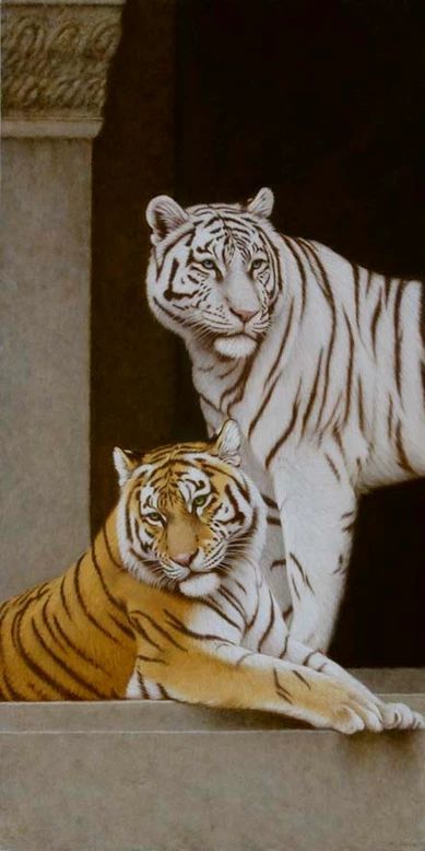 ISHAN ET MADRAS BY REMI BOURQUIN White Tiger Aesthetic, Tigers Aesthetic, Tiger Aesthetics, White Tiger Painting, Tiger Aesthetic, Ceo Lifestyle, External Validation, Snow Tiger, Tiger Wallpaper