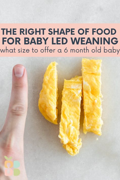 Blw Food Size Chart, Baby Led Feeding 6 Months, Babyled Weaning 6 Months, How To Serve Eggs To 6 Month Old, How To Cut Food For Baby Led Weaning, Baby Lead Weaning 6months, Led Weaning First Foods 6 Months, Baby Led Weaning Meals 6 Months, 6 Month Baby Led Weaning