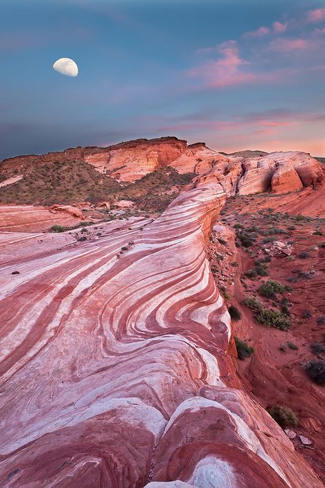 Sunset Valley, Valley Of Fire State Park, Camping Aesthetic, Travel Quotes Wanderlust, Us Road Trip, Valley Of Fire, Adventure Explore, Camping Outfits, Source Of Inspiration