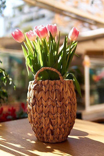 Tulip Photos, Red Tulips Bouquet, Floral Photos, Brown Baskets, Tulip Bouquet, Floral Photo, Red Tulips, Pink Tulips, Tulips Flowers