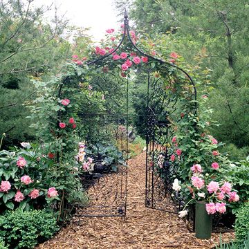 Go with a Classic Feel    If you have a classic-style garden, use a traditional metal arbor and climbing roses to run with the theme and create a perfect vignette. Metal Arbor, Arbors Trellis, Side Yard Landscaping, Beautiful Home Gardens, Garden Arbor, Garden Wallpaper, Image Nature, Climbing Roses, Flowers Wallpaper