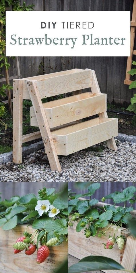 Tiered Strawberry Planter, Strawberry Planters Diy, Vertical Planter Box, Plantarea Legumelor, Garden Hydrangea, Strawberry Planter, Diy Planters Outdoor, Planters Ideas, Planters Diy