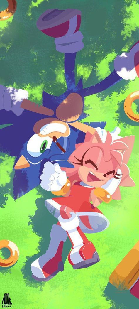 Sonic X Amy, Sonamy Comic, Sonic Amy, Amy The Hedgehog, Sonic Friends, Sonic And Amy, Sonic Funny, Sonic Franchise, Hedgehog Art