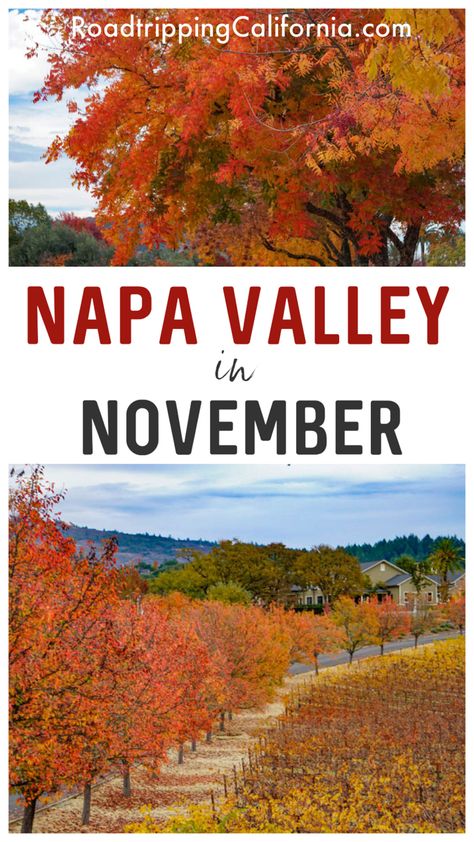 Discover the best things to do on a visit to Napa Valley in November! From fall colors to fall flavors, experience the best of California’s premier wine country getaway in November. Plus where to stay, where to eat, and what to wear! Napa Valley In November, Napa In Fall, Fall In Napa Valley, Napa In November, What To Wear In Napa Valley Fall, Napa Valley Itinerary, Things To Do In Napa, Country Getaway, Napa Valley Vineyards