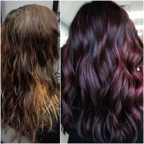 Pinot Noir Red Hair, Red Balayage Hair Medium Length, Two Color Hair Underneath, Dark Hair With Burgundy Highlights, Dark Burgundy Balayage, Blackberry Hair Color Dark, Eggplant Hair Color, Eggplant Colored Hair, Eggplant Hair