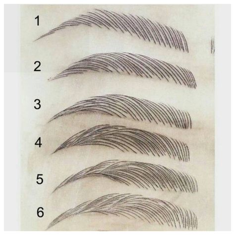 Microblading strokes and variations Mata Manga, Permanente Make-up, Mekap Mata, Eyebrow Makeup Tips, How To Draw Eyebrows, Permanent Makeup Eyebrows, 얼굴 그리기, Makijaż Smokey Eye, Perfect Eyebrows