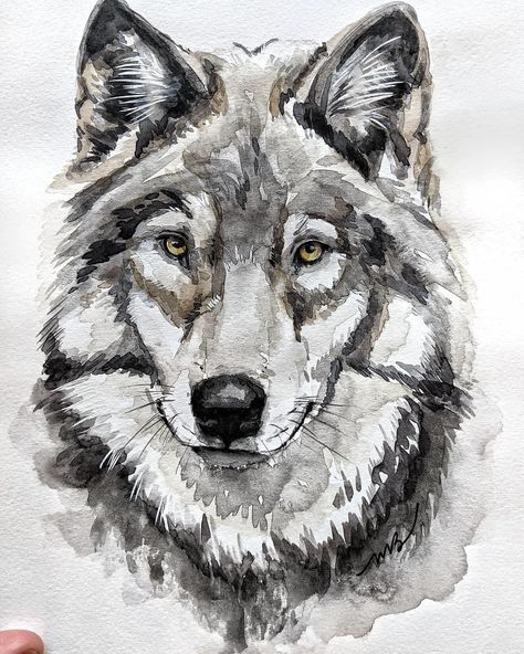 Wolf Watercolor Painting, Wolf Watercolor, Animal Watercolour, Crazy Tattoos, Watercolor Wolf, Animal Tattoo Ideas, Wildlife Painting, Wolf Painting, Arte Van Gogh