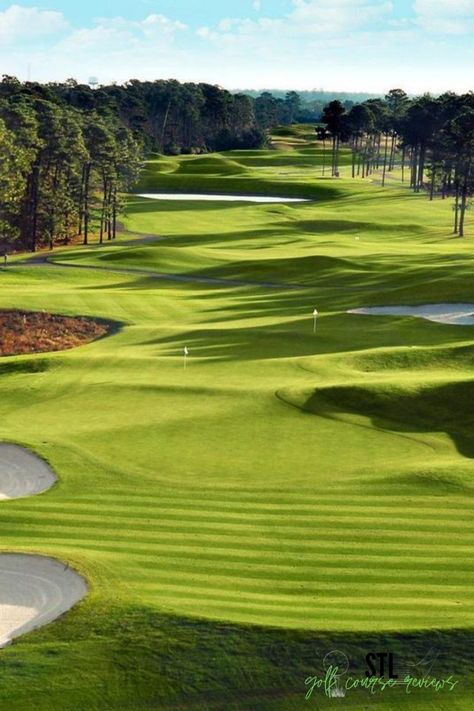 Golf Course Photography, Golf Pictures, Golf Inspiration, Golf Vacations, Golf Event, Golf Art, 80 Percent, Golf Brands, Vintage Golf