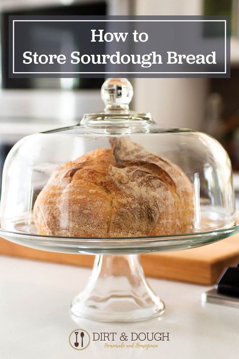 How to store sourdough bread and the best ways to keep it fresh? We put a lot of time and energy into making our amazing homemade sourdough bread and want it to last as long as possible. Here are 8 different ways to store sourdough bread. Ways To Eat Sourdough Bread, Homemade Bread Loaf, Sourdough Bread Starter, Homemade Sourdough Bread, How To Store Bread, Homemade Bread Recipes Easy, Bread Starter, Homemade Bread Easy, Homemade Sourdough