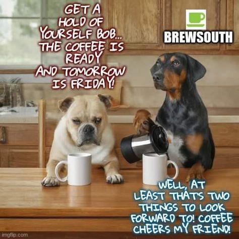 Thursday Coffee Humor Hilarious, Thursday Coffee Humor, Coffee Humor Hilarious, Thursday Coffee, Coffee Sayings, Tomorrow Is Friday, Coffee Jokes, Friday Coffee, Funny Coffee Quotes