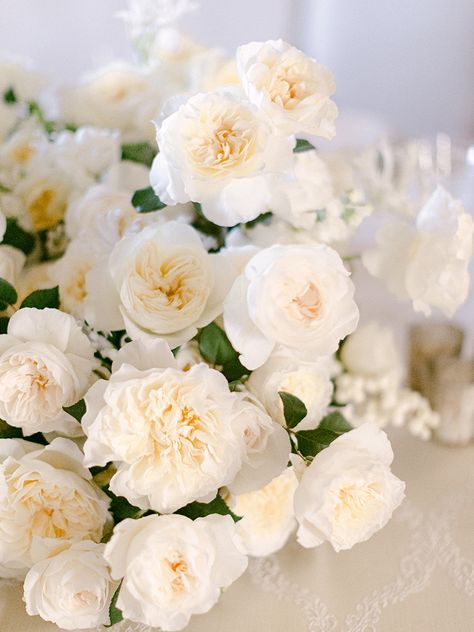 White Garden Rose, Roses For Wedding, David Austin Wedding, Ivory Wedding Flowers, Floral Archway, Flower Varieties, Austin Rose, Wedding Rose, Heirloom Roses