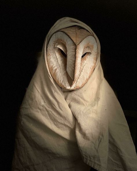 I Made This Barn Owl Costume For Halloween Owl Halloween Costumes, Best Halloween Costumes Ever, Owl Mask, Owl Costume, Bird Costume, Costume For Halloween, Hot Wheel, Masks Art, Animal Masks