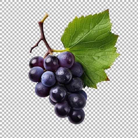 PSD grapes with leaf isolated on transpa... | Premium Psd #Freepik #psd #wine-grapes #grape-vine #grape #grape-fruit Fruits Reference, Grapes Photography, Vine Grape, Haha Photos, Grape Design, Wine Grapes, Statue Sculpture, Print Ideas, Age 10