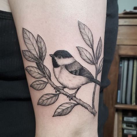 Chickadee Tattoo, Maine Tattoo, Baby Tattoo Designs, Botanical Tattoo, Baby Tattoos, Sleeve Tattoos For Women, November 8, Half Sleeve Tattoo, Fine Line Tattoos