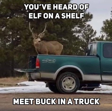 Deer Season Humor, Funny Hunting Pics, Hunting Quotes Funny, Hunting Jokes, Funny Deer, Elf On A Shelf, Country Jokes, Hunting Humor, Country Humor