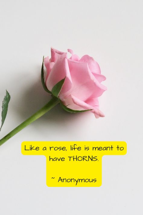 like rose, there will be thorns, thorns of diffculty, thorns of sadness, thorns of sufferings, but rose will have its frangrance Roses Thorns Quote, Hope Quotes Inspirational, Inspirational Quotes About Success, Life Changing Quotes, Hope Quotes, Motivational Phrases, A Rose, Be Yourself Quotes, Life Changes