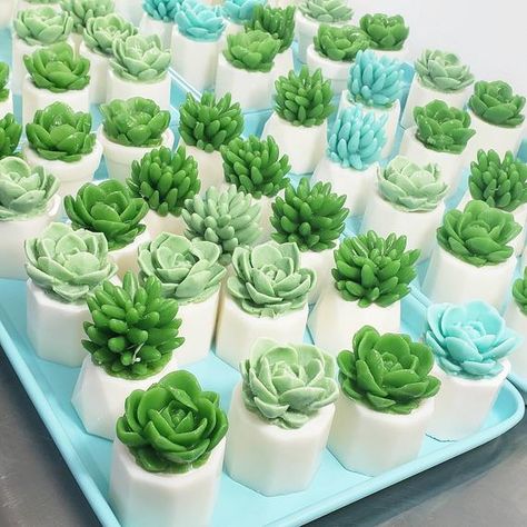 Succulent Soap Ideas, Cactus Gift Ideas, Soap Decoration, Succulent Soap, Gift Best Friend Birthday, Cactus Cake, Cactus Gift, Unique Soap, Succulent Gift