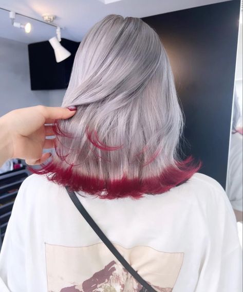 White Hair Red Highlights, Japanese Dyed Hair, Red Hair White Highlights, Silver And Red Hair, White And Red Hair, Blonde And Blue Hair, Hair Dye Shades, Underlights Hair, Korean Hair Color