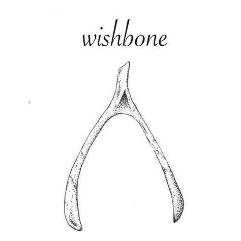 Wishbone Drawing, Hannibal Tattoo, Wishbone Tattoo, Osteogenesis Imperfecta, Bone Tattoos, Witch Tattoo, Intricate Tattoo, Red Ink Tattoos, Discreet Tattoos