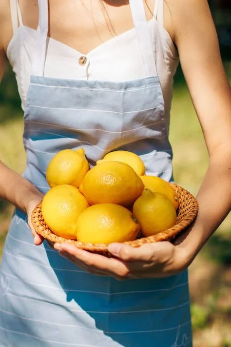 Woman Holding Wicker Bowl with Lemons · Free Stock Photo Fruit Arrangements, Fruit Carving, Fruit Platter, Fruit Smoothie Recipes, Fruit Garden, Fruit Art, Close Up Photos, Maternity Photography, Photo Collage