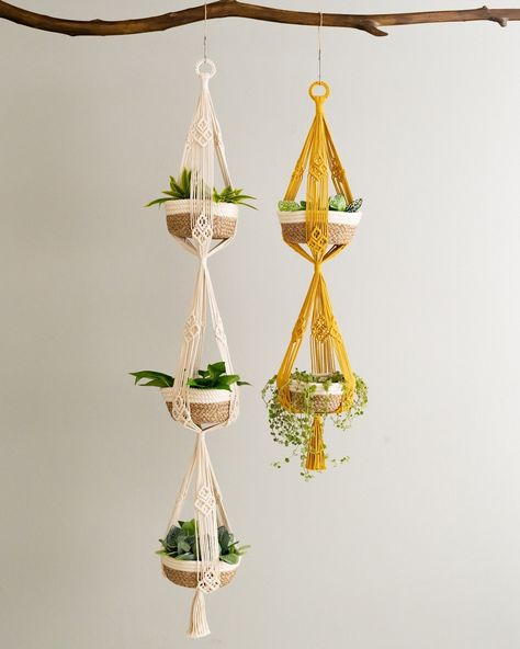 Introducing one of our latest collection from BeanDaikon! If you’re a true plant lover, this accessory is a must-have to elevate the charm of your lovely plants. Our Macrame Plant Hanger not only saves space but also adds a fresh, stylish touch to your home. 🌱✨ Check out more at: https://beandaikon.com/products/2-tiers-macrame-plant-holder-for-stylish-home-and-balcony-decor or click the link in our bio to shop now. 🛒🏡 #BeanDaikon #MacramePlantHanger #PlantLovers #HomeDecor #NewCollection #I... Plant Pot Hanger, Outdoor Plant Hanger, Planter Outdoor, Tiered Planter, Support Pour Plante, Hanging Plant Holder, Christmas Organization, Support Plante, Hanger Storage