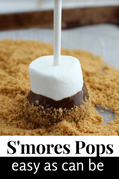 Pre Made Smores, S’more Snack Ideas, Smores Breakfast Ideas, Easy Smores Dessert No Bake, No Cook Smores, S’more Marshmallow Pops, S’more On A Stick, Bake Sale Ideas Smores, Smore Marshmallow Pops