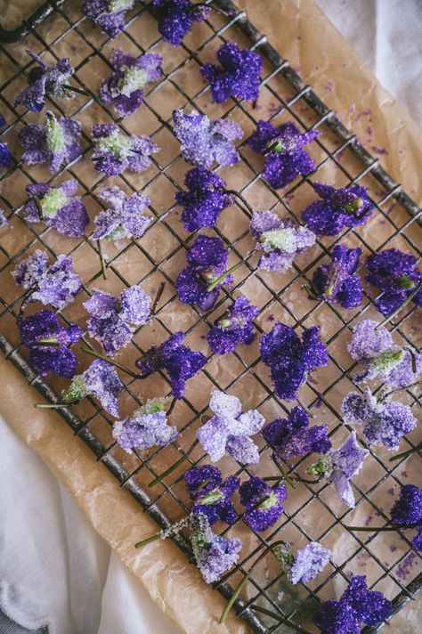 Candied Violets Edible Flowers, Candied Edible Flowers, Drying Edible Flowers, Common Blue Violet Recipes, Violet Recipes Edible Flowers, Wild Violets Uses, Viola Recipes, Wild Violet Recipes, Candied Herbs