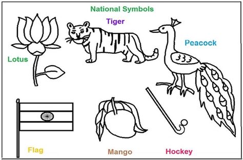 In this article I have put together some Indian National Symbols which will bring pride and patriotism in every Heart of an Indian. Kids will know the importance and what each symbolizes with it features. National Symbols Of India For Kids, Indian National Symbols, National Symbols Of India, Colors Kindergarten, Independence Day Activities, India For Kids, India Crafts, World Thinking Day, Flag Coloring Pages