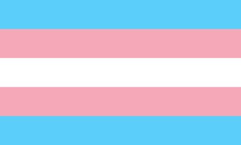 Editorial: Pagans must fight for transgender youth - Editorial, News, Opinion, Paganism, Perspectives, Politics, U.S., Witchcraft Transgender Flag, Trans Flag, Flag, Pink, Blue